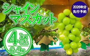 【数量限定】【2026年発送分 先行予約】シャインマスカット（４ｋｇ以上・６～９房）　シャイン マスカット ぶどう ブドウ 葡萄 フルーツ 果物 くだもの 山梨 やまなし 富士川町