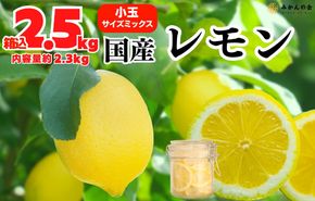 レモン 小玉 国産 箱込2.5kg(内容量約2.3kg) 秀品 S M L サイズミックス 和歌山県有田産 【みかんの会】 AX324