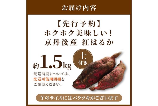 【先行予約】ホクホク美味しい！京丹後産 紅はるか 約1.5kg（土付き）（2026年10月上旬～発送）　MY00016
