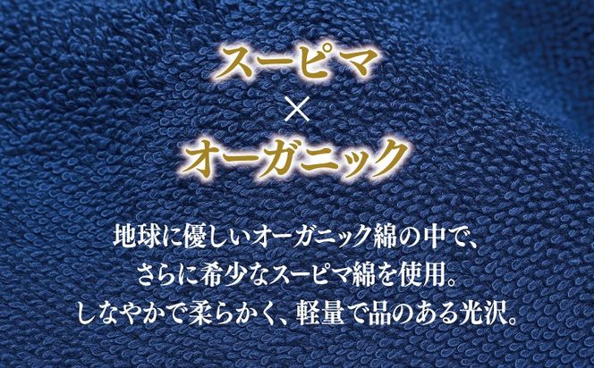099H1521 高級泉州タオル ラガマフィン バスタオル フェイスタオル ネイビー 各1枚