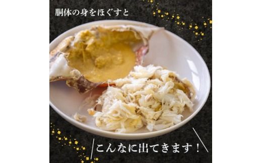 ＜数量限定＞魚太郎のボイルワタリガニ 3杯 1匹250g～300g 冷凍 カニ 蟹 国産 魚介 海鮮 味噌 ボイル済み 愛知県 南知多町