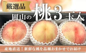 【2026年先行予約】厳選品 旬の桃（品種おまかせ）3玉入 (岡山県産) 【KF-A016-03】