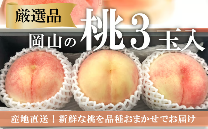 【2026年先行予約】厳選品 旬の桃（品種おまかせ）3玉入 (岡山県産) 【KF-A016-03】