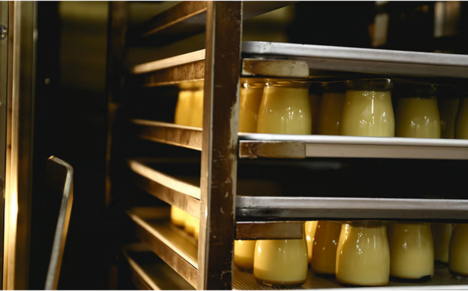 敷島堂 夢ぷりん 6本入 [№5735-0907]