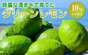 EA6114_【2026年先行予約】綺麗な湧き水で育てたグリーンレモン 10kg (大小混合)60個～120個
