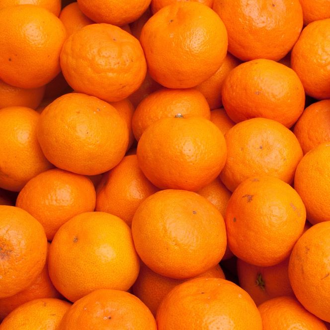 極プレミアム有田みかん 約2.5kg 定期便 全3回 10月・11月・12月発送  	CZ172