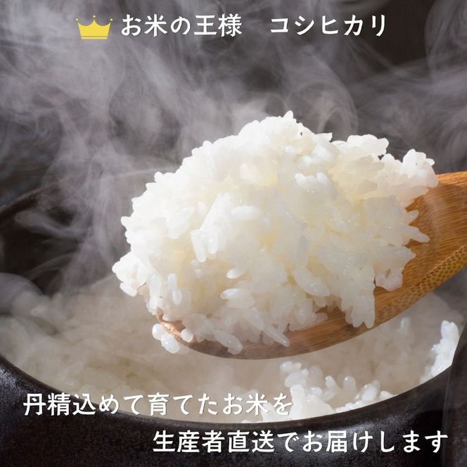 【先行予約】《 令和８年産 新米 》 こしひかり玄米 10kg  奥信濃飯山～木内ファームのお米～《 2026年9月20日頃より出荷 》 (Ca-053)