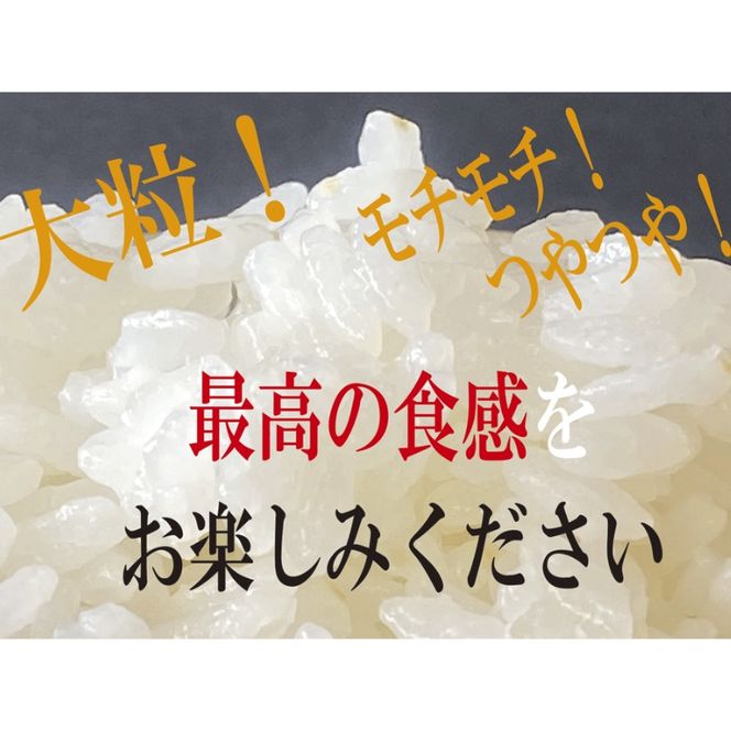 伊賀米コシヒカリ特別栽培米「真米」白米5kg×3回お届け定期便【ymnk-tkb0001】