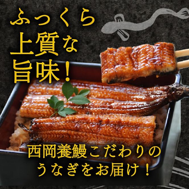 国産 うなぎ 蒲焼 1尾 220g 2尾 ~ 5尾 1回 2回 ～ 5回 定期便 高知県産 無添加 ▼ 国産 うなぎ 鰻 ウナギ 蒲焼 うなぎ 蒲焼き うなぎ タレ 山椒 付き うなぎ ウナギ 鰻 冷凍 鰻 うなぎ ウナギ 鰻 人気 ウナギ うなぎ おすすめ うなぎ おいしい unagi うなぎ