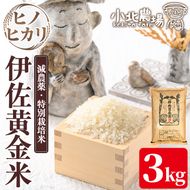 isa954 《数量限定》令和7年産 小北農場のお米 伊佐黄金米〈ヒノヒカリ〉(3kg) 鹿児島 伊佐 お米 特別栽培米 伊佐米 白米 ヒノヒカリ ひのひかり おにぎり ごはん 【小北農場】