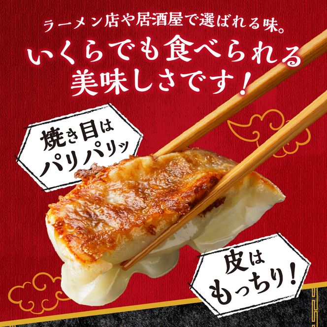 こだわりつづけた無敵味！富士山北麓餃子！　餃子 ぎょうざ 冷凍餃子 餃子 冷凍 山梨 富士吉田
