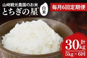 【全6回定期便】＜毎月＞ 山﨑観光農園のお米 とちぎの星 白米 5kg（合計 30kg）単一原料米 100% ｜栃木県 益子町 ふるさと納税 お米 米 白米 精米 5kg 6ヵ月 令和7年産 定期便（AU036）