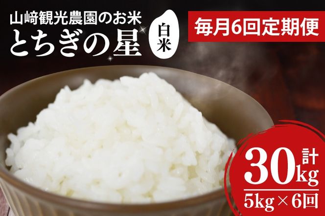 【全6回定期便】＜毎月＞ 山﨑観光農園のお米 とちぎの星 白米 5kg（合計 30kg）単一原料米 100% ｜栃木県 益子町 ふるさと納税 お米 米 白米 精米 5kg 6ヵ月 令和7年産 定期便（AU036）
