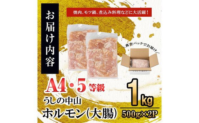 うしの中山 A4・A5等級黒毛和牛 ホルモン（大腸） 計1kg（500g×2袋）a5-347