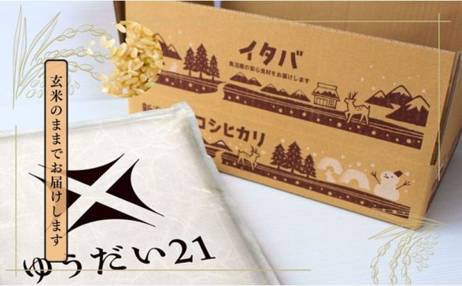 米 魚沼産ゆうだい21(玄米)5kg 新潟市 十日町市 