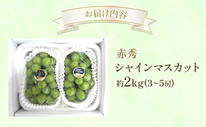 ぶどう 2027年 先行受付 シャインマスカット（赤秀） 約2kg  (3～5房) フルーツ 果物 岡山 赤磐市