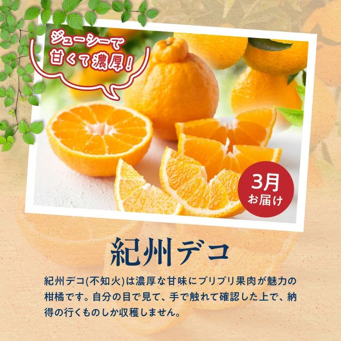 G60-T78_【定期便 全3回】紀州和歌山産旬のフルーツ定期便（田村みかん、いちご、紀州デコ）