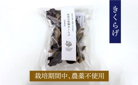 乾燥 肉厚 国産 きくらげ ＋ 乾燥 黄金色 しいたけ 各2袋セット 糸島市 / きのこファーム [AFC006]