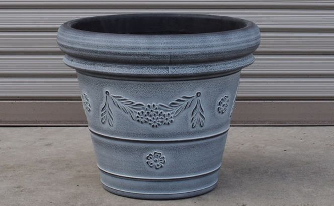 苗木 レモン 特大サイズ レモンの木 鉢植え グレー鉢 1個 植物 ガーデン ※配送不可:北海道、沖縄、離島 果物類 柑橘類 檸檬 