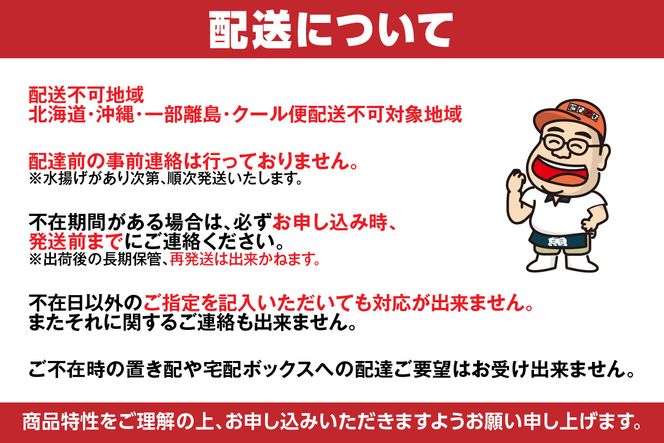【ほたるいか醤油漬け1kg(500g×2)】兵庫 香住 水揚げ 新鮮 独自製法 丸大豆醤油 丸ごと 深い味わい ワタ 大容量 醤油漬け 保存料・着色料不使用 業務用 日本海フーズ にしとも かに市場 07-28 