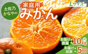 みかん 定期便 5回 土佐乃かなやの家庭用みかん10kg(Lサイズ)×5回 合計50kg - 定期便 数量 国産 早生みかん 極早生みかん グリーンみかん 蜜柑 ミカン 柑橘 果物 Wbe-0126
