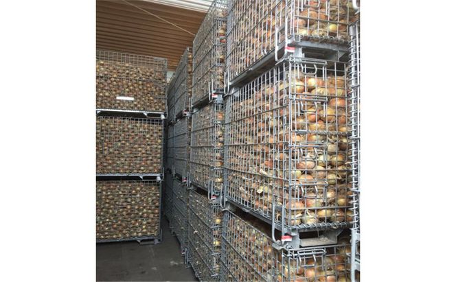 先行予約 玉ねぎ 約10kg（岡山県産） 晴れの国ファーム 野菜 万能 食材 