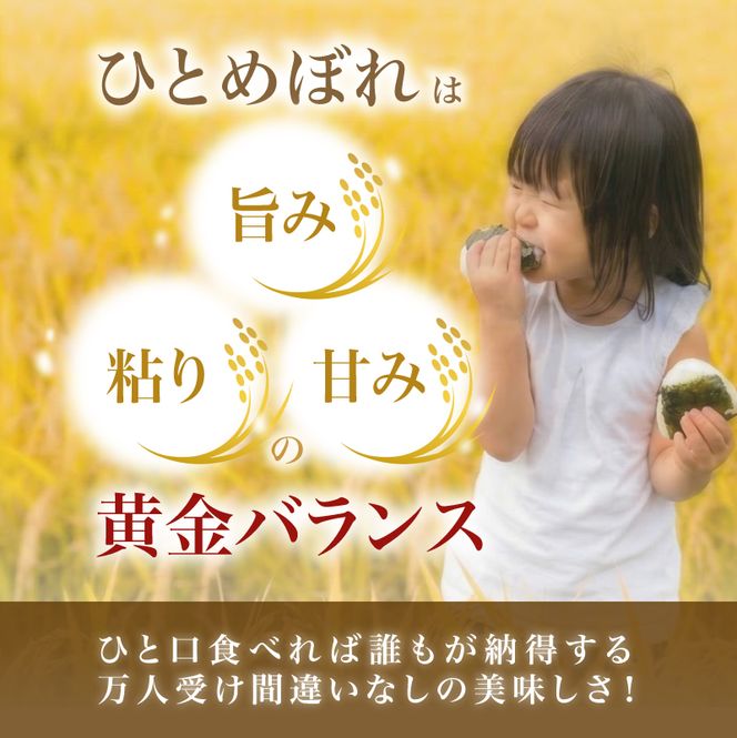 【ふるプレ限定品】【新米先行予約】【2026年10月以降順次発送予定】《定期便3ヵ月》ひとめぼれ 令和8年度産 精米5kg【精米 白米 米 コメ お米 おこめ ブランド米 ご飯 ごはん 秋田 にかほ】
