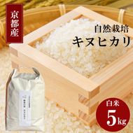 キヌヒカリ 5kg 新米 京都 丹波 お米 米 精米 きぬひかり 産地直送 令和8年 5キロ 新米26