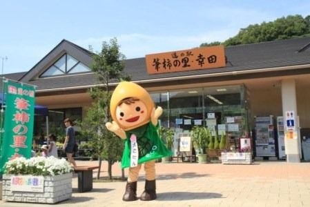 「道の駅筆柿の里幸田」オリジナル！幸田町特産「筆柿」加工品詰め合わせ