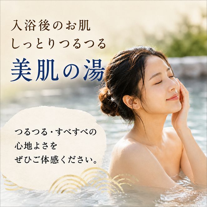 池田温泉 大人回数券1冊 (11枚つづり) チケット 温泉利用券 
