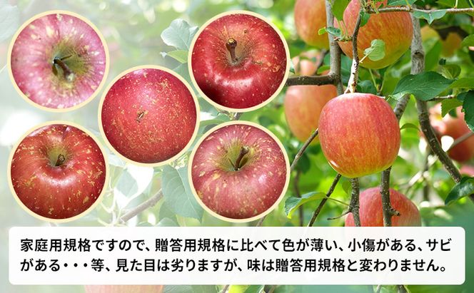 【 農家直送 数量限定 】 11～12月発送 家庭用 サンふじ 約 10kg 【 訳あり 】  果物 フルーツ 青森りんご シャキシャキ 