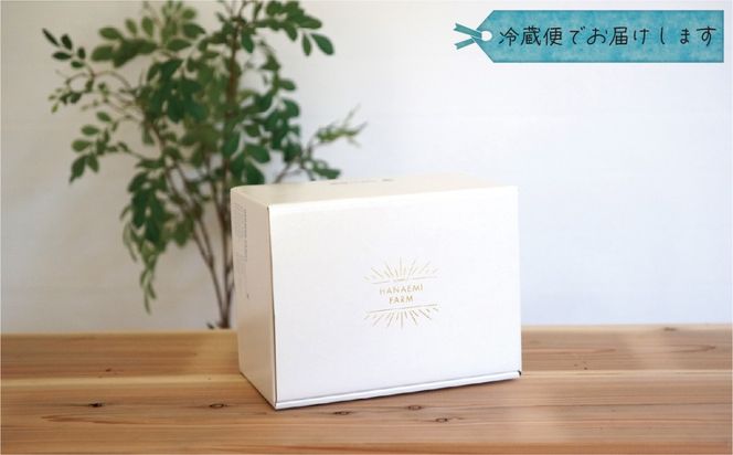 【2026年先行予約】岡山 花笑み農園の『BKシードレス』500g以上（中１房） B-中1 贈答用 濃厚 ぶどう 2026年9月中旬～ 受付順に発送予定 【hana083-01】