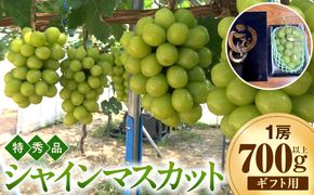 【2026年度先行予約】数量限定　シャインマスカット　ギフト用特秀品　700g以上1房【9月20日以降発送】 313726_DE009