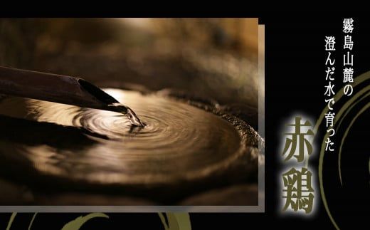 【たしろ屋】赤鶏たたき130g×3P_LF-9901_(都城市) 赤鶏 鶏刺し たたき 真空パック 部位のバランスはお任せ国産 赤鶏 鶏刺し たたき  タレつき 真空パック 