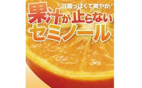 【先行予約】石本果樹園の美味しいセミノール 約4kg入り(30～35玉前後)【2025年4月中旬から5月中旬までに順次発送】 / みかん フルーツ くだもの 果物 セミノール【min008A】