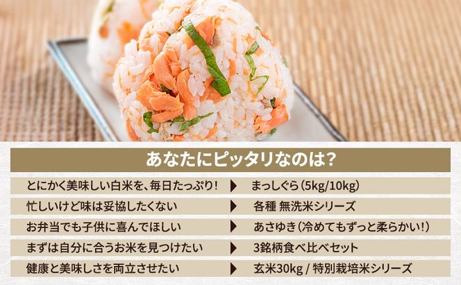 先行予約 令和8年産 あさゆき 玄米 10kg(5kg×2) [H.GREENWORK] 青森県 鰺ヶ沢産 / お米 希少米 もっちり 備蓄 健康 津軽