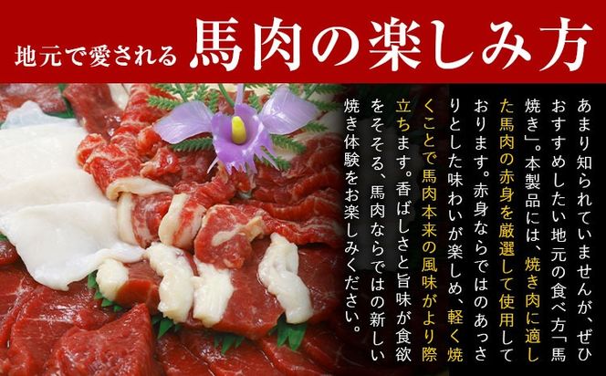 馬肉焼肉用 500g カット済 桜屋 《60日以内に出荷予定(土日祝除く)》熊本県 南阿蘇村 送料無料 肉 馬肉 焼肉---sms_fsybnyn_60d_r7_18500_500g---