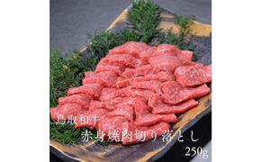 鳥取和牛赤身焼肉切り落とし　250g 313726_DC001