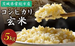 令和7年産 コシヒカリ5kg 玄米 常総市産