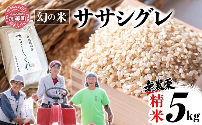 【新米予約】《 希少品種米 》 米 令和8年 宮城県産 ササシグレ ( 栽培期間中農薬・肥料不使用 ) 精米 白米 5kg ｜ 宮城県 加美町 無農薬 お米 こめ コメ ささしぐれ ササニシキ の 父 ｜ nt-ss05-r8 | nt-ss05-r8