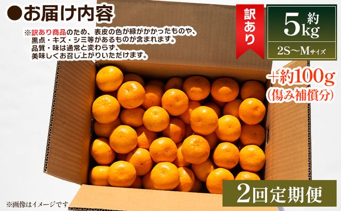 みかん 【２回定期便】露地みかん(2S～Mサイズ) 5kg 家庭用 丸萬農園 - 果物 くだもの フルーツ 果実 柑橘 かんきつ 蜜柑 みかん ミカン 果汁 期間限定 訳アリ Ｗmn-0017