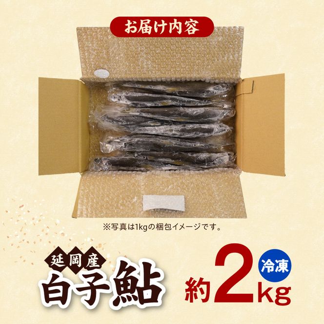 【冷凍】白子鮎約2kg N070-YB358-2