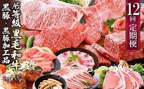 お肉の定期便(12回)枕崎お楽しみ便(A5等級黒毛和牛・黒豚・黒豚加工品etc) KK-6003 【1166746】