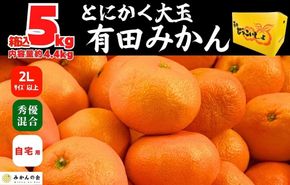 みかん 大玉 どっこいしょ 箱込 5kg ( 内容量約 4.4kg ) 2Lサイズ以上 秀品 優品 混合 有田みかん 和歌山県産 産地直送 家庭用【みかんの会】 AX221