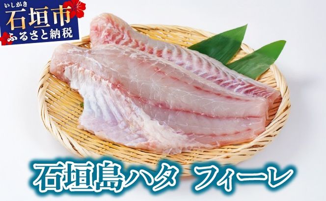 �y���ꌧ�Ί_�s�z�Ί_�� �n�^ �t�B�[�� | �����Y �~�[�o�C ���C�g�n�^ ���ꌧ�Ί_�s �Ί_ ���� �Ί_�s �Ί_�� KS-14