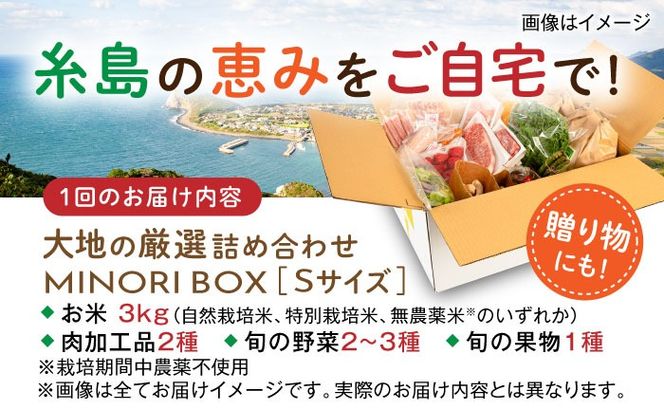 【全3回定期便】糸島産 肉 米 野菜 果物 厳選詰め合わせ MINORI BOX Sサイズ 糸島市 / emma.Inc / 米 肉 野菜 果物 詰め合わせ[AOP008]