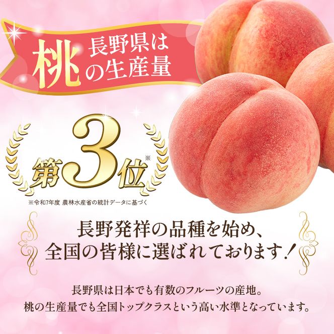 【オンライン決済限定】【2026年8月中旬～発送予定】 先行予約 「浅間水蜜桃プレミアム」 もも なつっこ 秀品 約2kg 5～9玉 贈答品 ふるさと納税 果物 桃 フルーツ モモ 果肉  長野県産 小諸市 