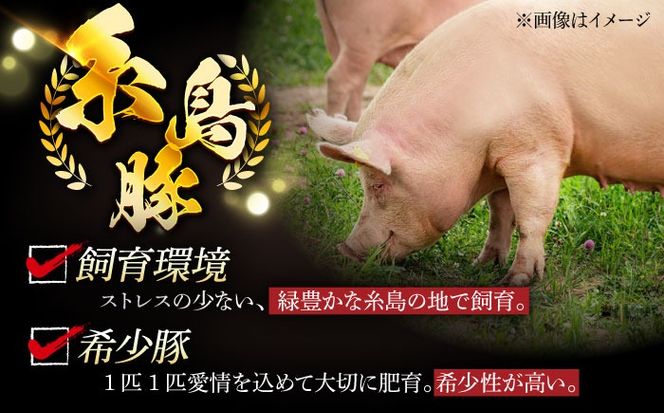 【全6回定期便】糸島豚 バラエティ セット(とんかつ、肩ロース、しゃぶしゃぶ) 1.6kg 糸島市 / トラヤミートセンター 豚肉 セット 大容量[AJD022]