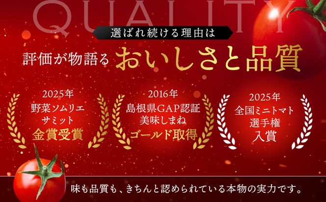 出雲の國からの贈り物～トマトを超えた超トマト１kg 322032_AT001
