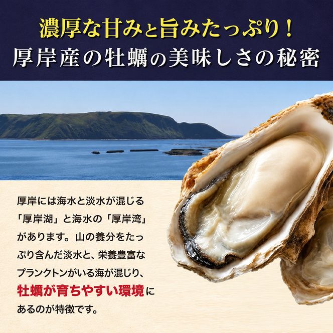 定期便 3ヶ月 北海道 厚岸産 牡蠣 Lサイズ 20個 (各回20個×3ヶ月分,合計60個) 殻付き 生食 カキナイフ付き かき カキ 生牡蠣 魚介類 貝 マルえもん